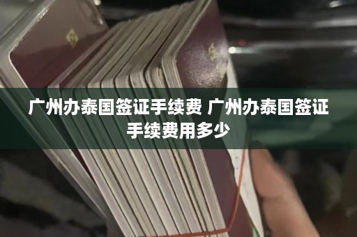 广州办泰国签证手续费 广州办泰国签证手续费用多少  第1张