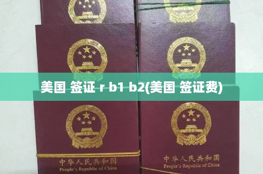 美国 签证 r b1 b2(美国 签证费)  第1张