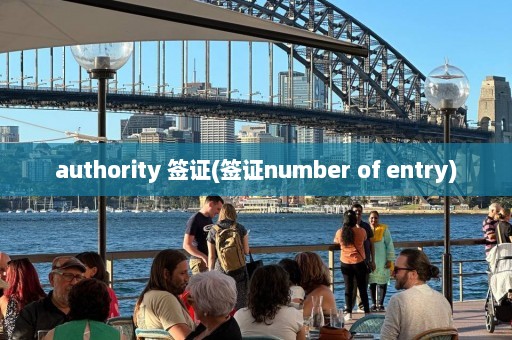 authority 签证(签证number of entry)