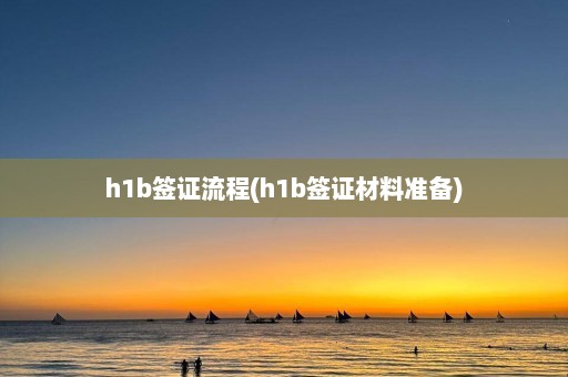 h1b签证流程(h1b签证材料准备)