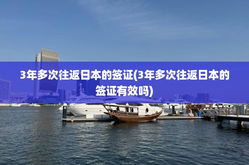 3年多次往返日本的签证(3年多次往返日本的签证有效吗)