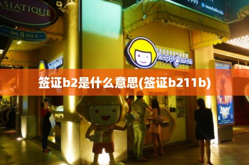 签证b2是什么意思(签证b211b)  第1张