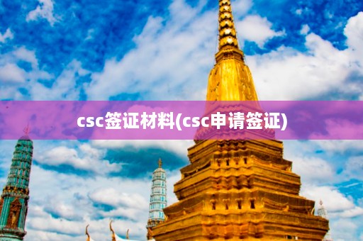 csc签证材料(csc申请签证)