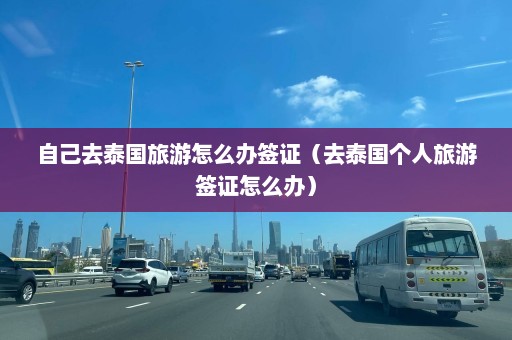 自己去泰国旅游怎么办签证（去泰国个人旅游签证怎么办）