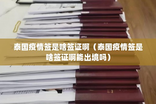 泰国疫情签是啥签证啊（泰国疫情签是啥签证啊能出境吗）  第1张