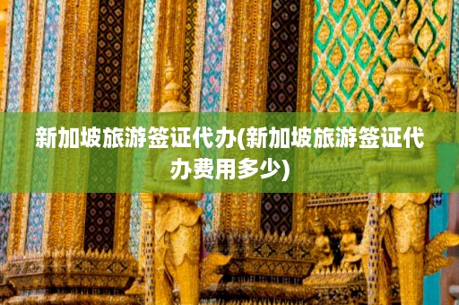 新加坡旅游签证代办(新加坡旅游签证代办费用多少)  第1张