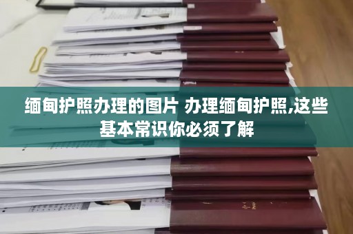 缅甸护照办理的图片 办理缅甸护照,这些基本常识你必须了解  第1张