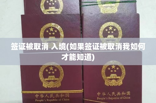 签证被取消 入境(如果签证被取消我如何才能知道)  第1张