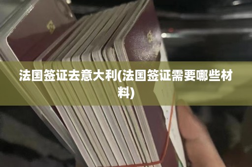 法国签证去意大利(法国签证需要哪些材料)  第1张