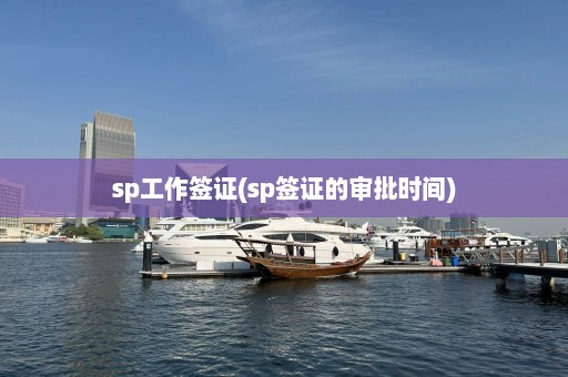 sp工作签证(sp签证的审批时间)