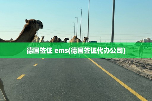 德国签证 ems(德国签证代办公司)