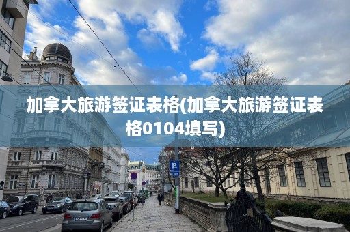 加拿大旅游签证表格(加拿大旅游签证表格0104填写)