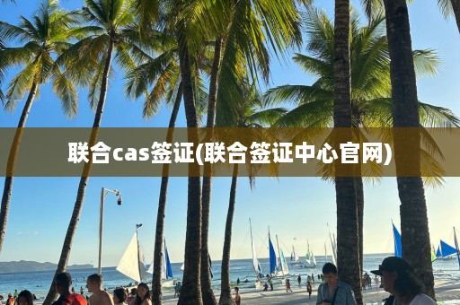 联合cas签证(联合签证中心官网)