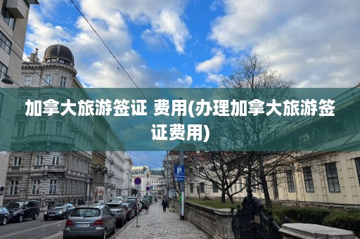 加拿大旅游签证 费用(办理加拿大旅游签证费用)