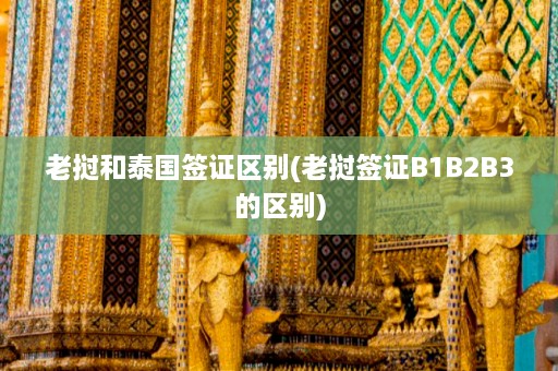 老挝和泰国签证区别(老挝签证B1B2B3的区别)  第1张