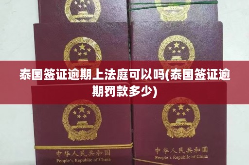 泰国签证逾期上法庭可以吗(泰国签证逾期罚款多少)  第1张