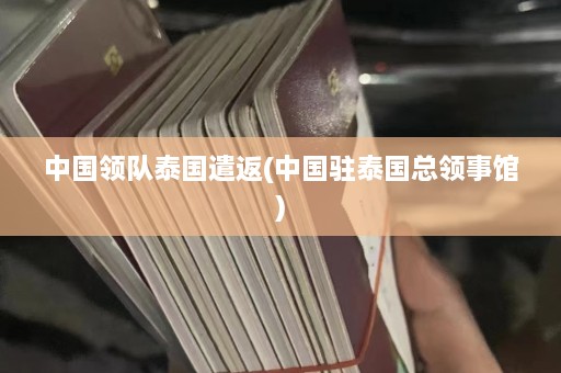 中国领队泰国遣返(中国驻泰国总领事馆)  第1张