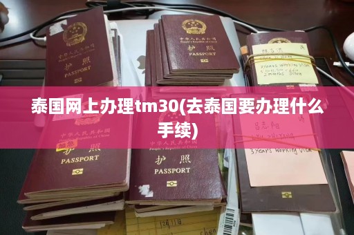 泰国网上办理tm30(去泰国要办理什么手续)  第1张