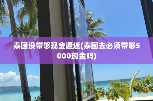 泰国没带够现金遣返(泰国去必须带够5000现金吗)