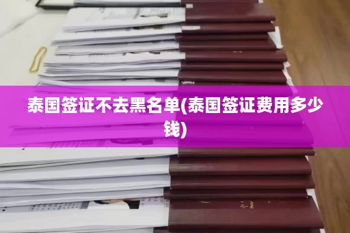 泰国签证不去黑名单(泰国签证费用多少钱)  第1张