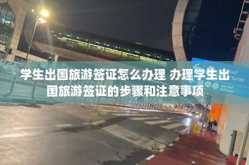 学生出国旅游签证怎么办理 办理学生出国旅游签证的步骤和注意事项  第1张