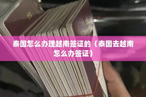 泰国怎么办理越南签证的（泰国去越南怎么办签证）  第1张