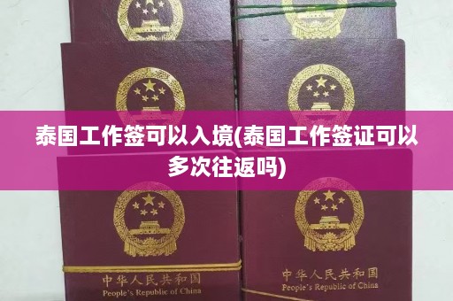 泰国工作签可以入境(泰国工作签证可以多次往返吗)  第1张