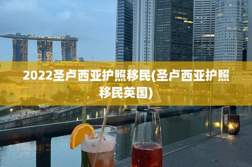 2022圣卢西亚护照移民(圣卢西亚护照移民英国)  第1张