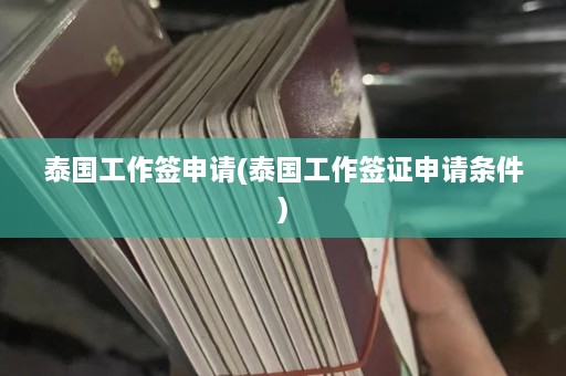 泰国工作签申请(泰国工作签证申请条件)  第1张