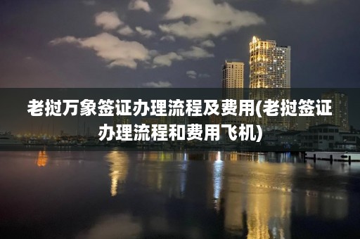 老挝万象签证办理流程及费用(老挝签证办理流程和费用飞机)  第1张