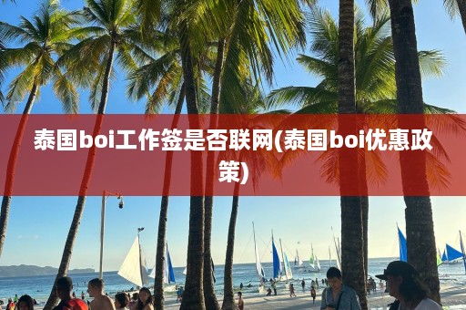 泰国boi工作签是否联网(泰国boi优惠政策)  第1张