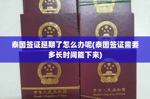 泰国签证延期了怎么办呢(泰国签证需要多长时间能下来)