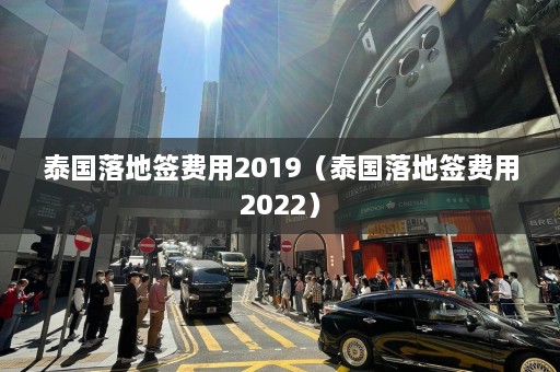 泰国落地签费用2019（泰国落地签费用2022）