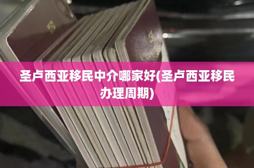 圣卢西亚移民中介哪家好(圣卢西亚移民办理周期)  第1张