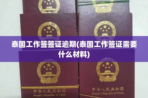 泰国工作签签证逾期(泰国工作签证需要什么材料)