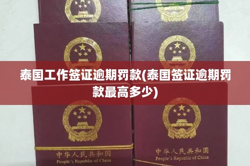 泰国工作签证逾期罚款(泰国签证逾期罚款更高多少)  第1张