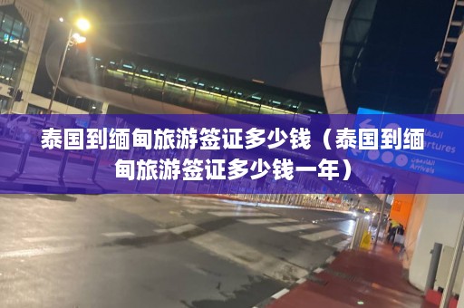 泰国到缅甸旅游签证多少钱（泰国到缅甸旅游签证多少钱一年）  第1张