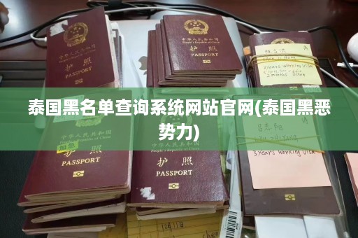 泰国黑名单查询系统网站官网(泰国黑恶势力)