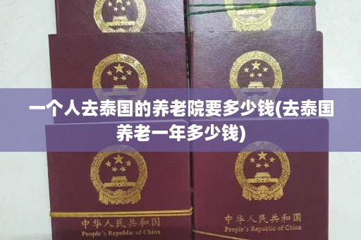 一个人去泰国的养老院要多少钱(去泰国养老一年多少钱)