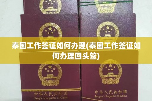 泰国工作签证如何办理(泰国工作签证如何办理回头签)  第1张