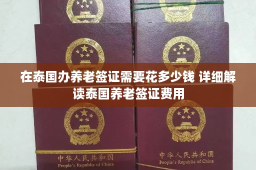 在泰国办养老签证需要花多少钱 详细解读泰国养老签证费用  第1张