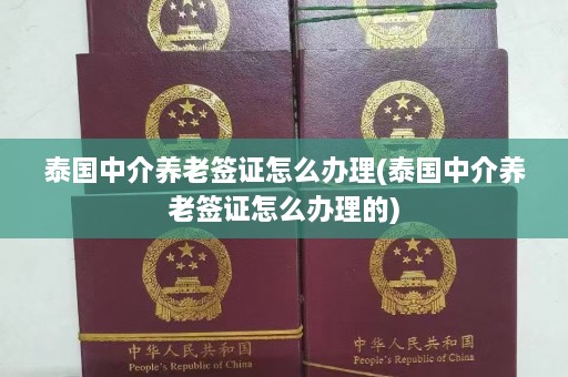 泰国中介养老签证怎么办理(泰国中介养老签证怎么办理的)