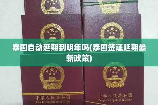 泰国自动延期到明年吗(泰国签证延期最新政策)