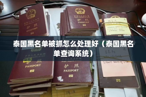 泰国黑名单被抓怎么处理好（泰国黑名单查询系统）