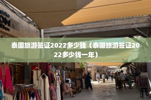 泰国旅游签证2022多少钱（泰国旅游签证2022多少钱一年）