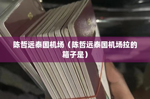 陈哲远泰国机场（陈哲远泰国机场拉的箱子是）  第1张