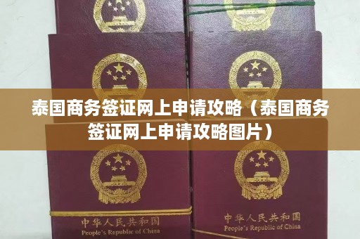 泰国商务签证网上申请攻略（泰国商务签证网上申请攻略图片）