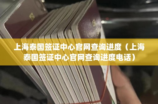 上海泰国签证中心官网查询进度（上海泰国签证中心官网查询进度电话）