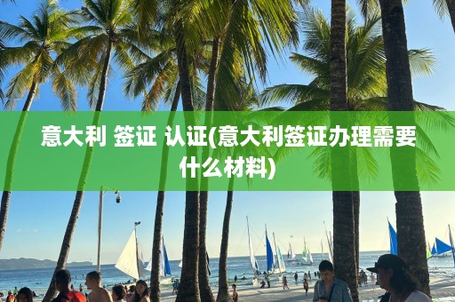 意大利 签证 认证(意大利签证办理需要什么材料)  第1张