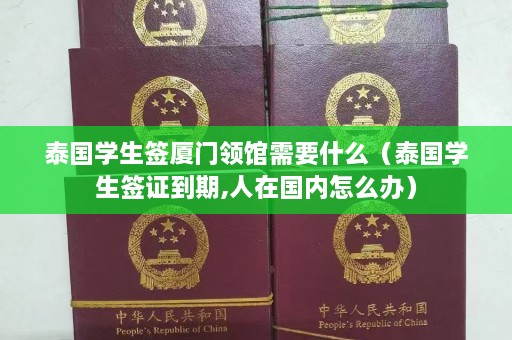 泰国学生签厦门领馆需要什么（泰国学生签证到期,人在国内怎么办）